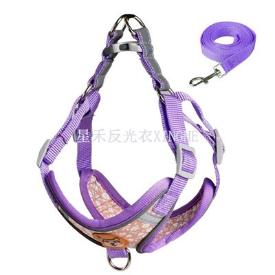 سلامة الكلب حزام عاكس